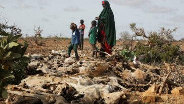 Hambre 'a la puerta' en Somalia, dice jefe humanitario de ONU