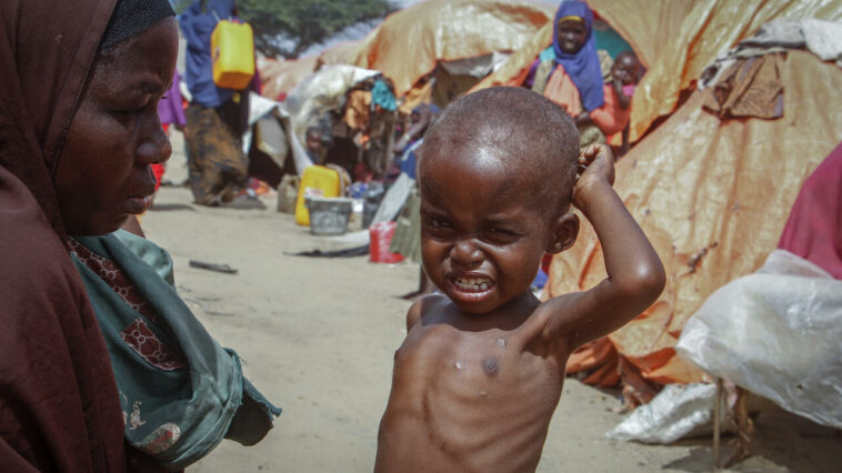 La ONU dice que se necesitan al menos mil millones de dólares para evitar la hambruna en Somalia