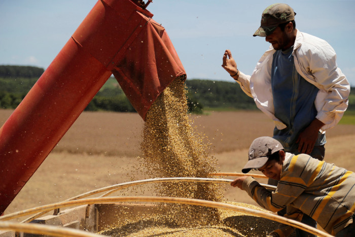 La soja se carga en un camión después de la cosecha en Caagauzu, Paraguay