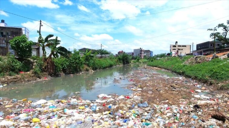 Camerún aborda la contaminación plástica: las nuevas empresas de reciclaje convierten la basura en un tesoro