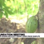 Costa de Marfil y Ghana boicotean reunión de la Fundación Cacao por disputa de precios