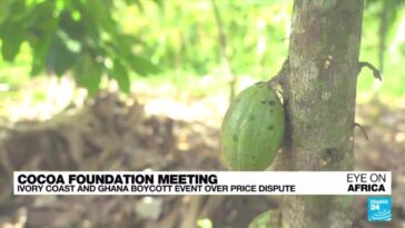 Costa de Marfil y Ghana boicotean reunión de la Fundación Cacao por disputa de precios
