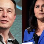Ex-Dem Tulsi Gabbard advierte Biden Admin, 'Power Elite' para destruir a Elon Musk