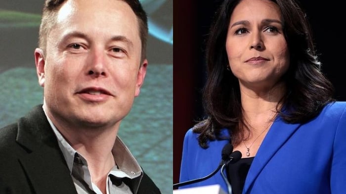 Ex-Dem Tulsi Gabbard advierte Biden Admin, 'Power Elite' para destruir a Elon Musk