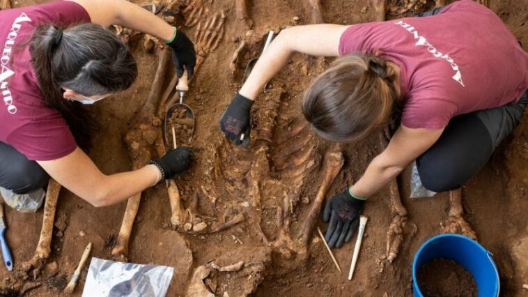 Familiares de víctimas del franquismo acogen con satisfacción la nueva ley española