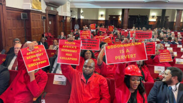 'Godongwana es un pervertido', EFF acusa al ministro en Parly