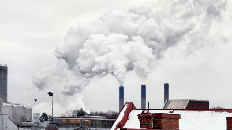 Las ambiciones climáticas de Suecia están amenazadas a medida que el centro-derecha toma las riendas, advierten las ONG