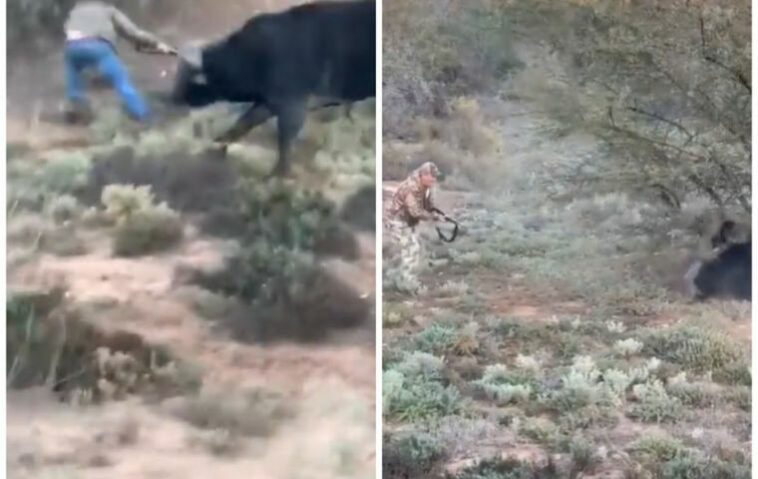 Ocurrió en una zona de matorrales cerca de la frontera entre Argentina y Uruguay, en Gualeguaychú.