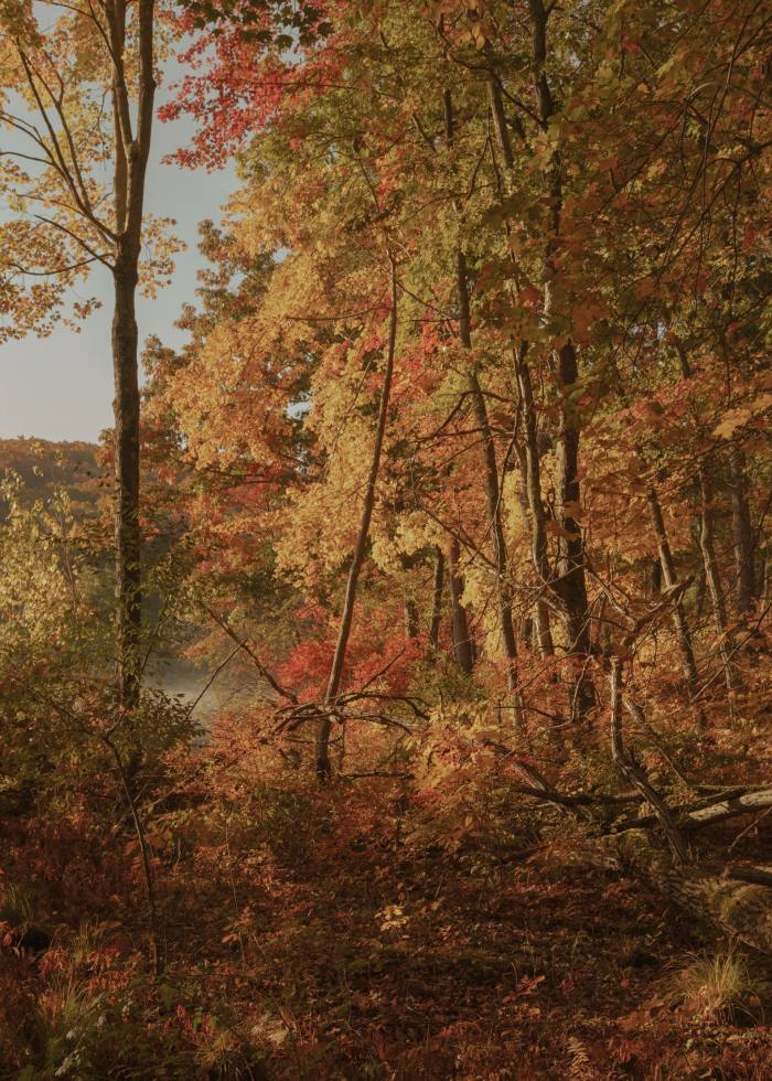 Reloj de otoño: dónde ver el follaje de otoño más hermoso de Nueva York