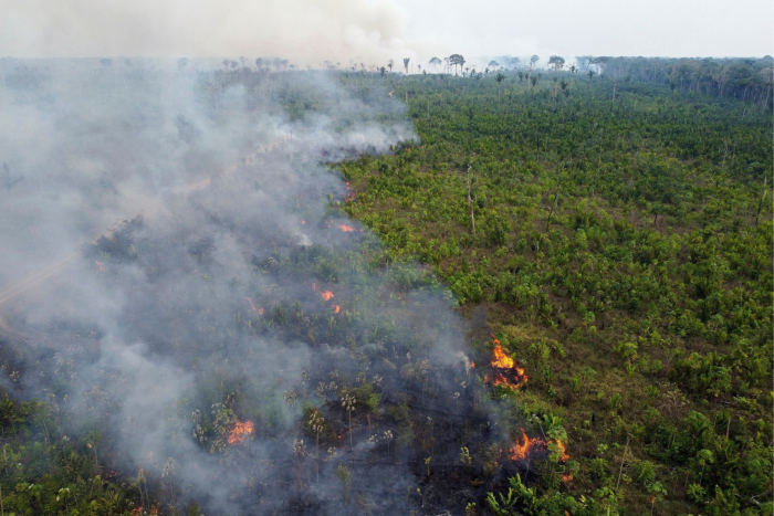 Tala de bosque en Humaitá, en el estado brasileño de Amazonas