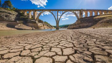 eurodiputados al G20: aumentar los objetivos de cambio climático antes de la COP27 |  Noticias |  Parlamento Europeo