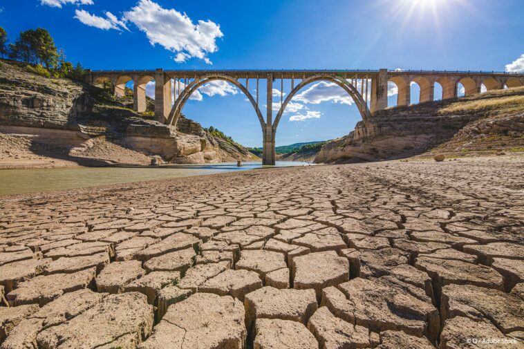 eurodiputados al G20: aumentar los objetivos de cambio climático antes de la COP27 |  Noticias |  Parlamento Europeo