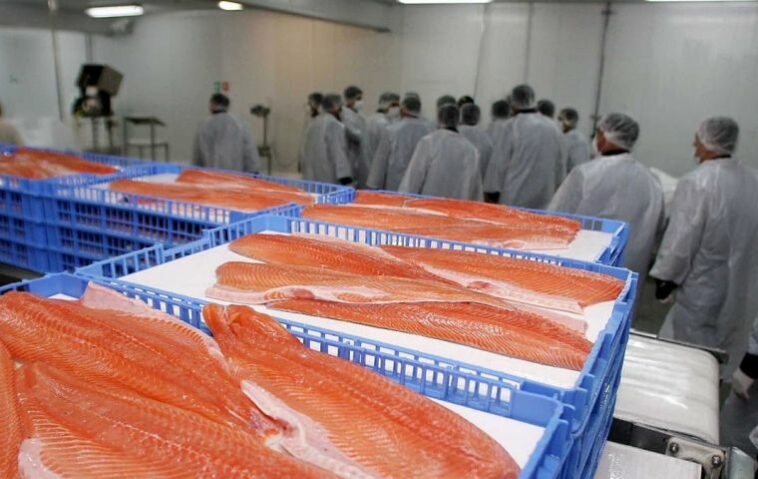 Las ventas de salmón y trucha a Brasil generaron US$ 673 millones entre enero y octubre, un 12,4% más que en igual período del año anterior.