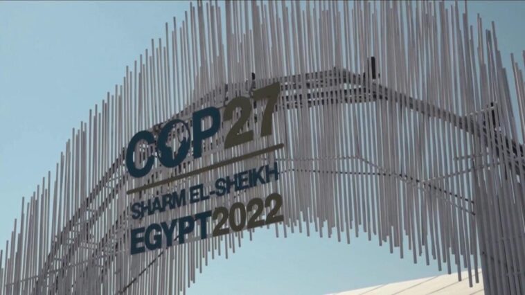 Cumbre sobre el clima COP27: los alimentos ocupan un lugar central en las conversaciones en Egipto