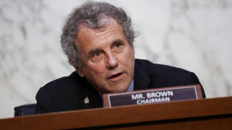 El presidente del Comité Bancario del Senado, Sherrod Brown, cuestiona los cargos por sobregiro