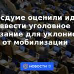 La Duma del Estado apreció la idea de introducir sanciones penales para los evasores del servicio militar obligatorio.