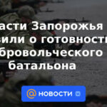 Las autoridades de Zaporozhye anunciaron la disposición del batallón de voluntarios.