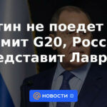 Putin no irá a la cumbre del G20, Lavrov representará a Rusia