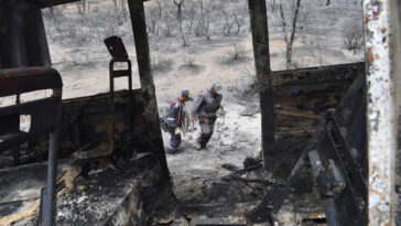 Tribunal argelino condena a muerte a decenas de personas por linchamiento en un incendio forestal