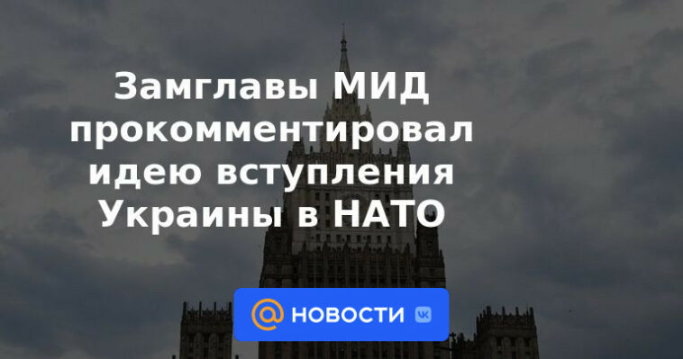 Vicecanciller comentó sobre la idea de la adhesión de Ucrania a la OTAN
