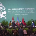 Algunas ONG advierten que el acuerdo de biodiversidad COP15 'devastará vidas indígenas'