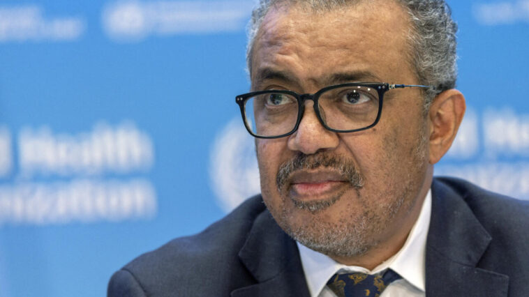 El jefe de la OMS dice que su tío fue asesinado por tropas eritreas en Tigray, Etiopía