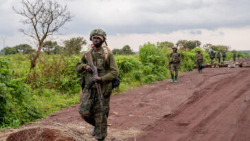 La Unión Europea insta a Ruanda a dejar de apoyar a los rebeldes del M23 en RD Congo