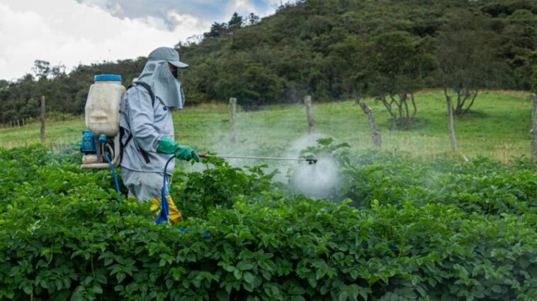 ONG piden al Consejo de Estado belga que suspenda la autorización de dos insecticidas