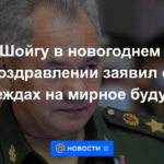 Shoigu en los saludos de Año Nuevo anunció la esperanza de un futuro pacífico