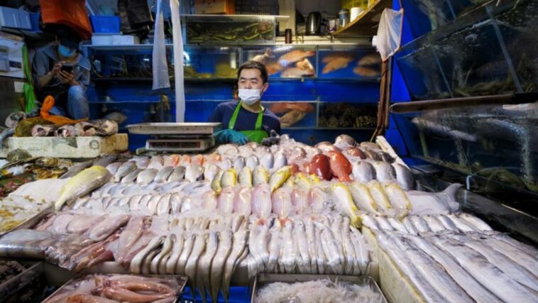 China busca aprobar acuerdo de subsidio pesquero de OMC en 2023