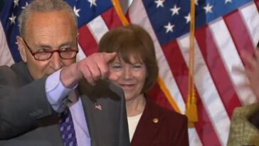 Chuck Schumer dice a los republicanos de la Cámara que sus proyectos de ley contra el aborto están condenados