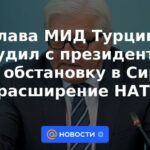 El ministro de Asuntos Exteriores turco analiza la situación en Siria y la expansión de la OTAN con el presidente alemán