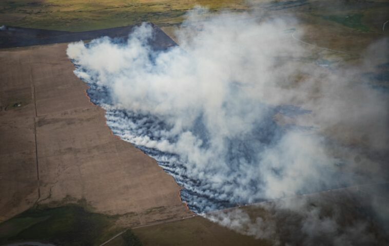 En lo que va de 2023, el Cuerpo Nacional de Bomberos de Uruguay reportó un aumento considerable en el número de incendios forestales.  Foto: Sebastián Astorga / MercoPress