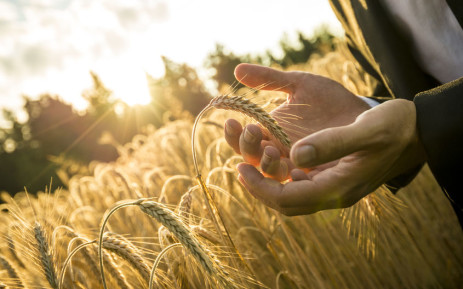 Es probable que los precios de los alimentos aumenten a medida que el sector agrícola desafía la reducción de carga