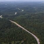 Indonesia frena la exportación de aceite de palma, los planes de biodiésel afectarán los suministros mundiales de aceite vegetal