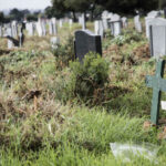 Las tumbas de Tshwane no excavadas causan que los contratistas no paguen, dice Safpa