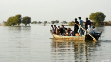 Pakistán corre el riesgo de sufrir una "miseria extraordinaria" sin ayuda para recuperarse de las inundaciones: ONU