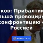 Peskov: los Estados bálticos y Polonia provocan una confrontación con Rusia