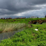 Tres cuerpos recuperados en Soweto después de otro bautismo ahogado