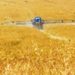 Agri SA ruega a Ramaposa que declare al sector agropecuario un servicio esencial