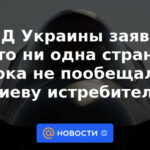 El Ministerio de Relaciones Exteriores de Ucrania dijo que ningún país ha prometido aún aviones de combate de Kiev