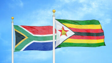 Embajada de Zimbabue ofrece ayuda a ciudadanos que quieren regresar a casa desde Sudáfrica