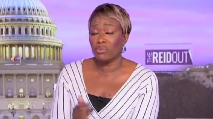 Joy Reid acusa a DeSantis de convertir a Florida en una 'tierra de fantasía de derecha' y estamos todos a favor