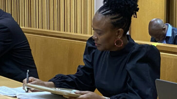 La investigación de Mkhwebane se topa con otro obstáculo cuando el testigo se niega a testificar