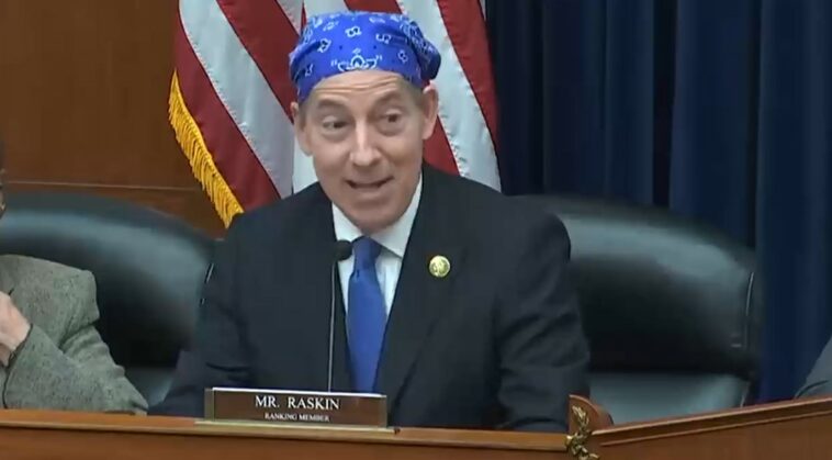 Vea a Jamie Raskin explicar la Primera Enmienda a los republicanos