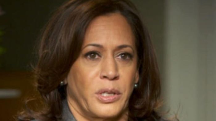 ¿Pueden los demócratas resolver su 'problema de Kamala Harris'?