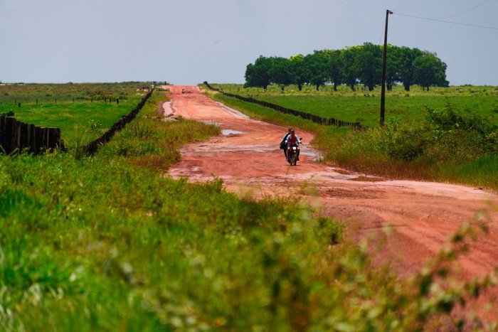 Uno de los sitios designados para la reforestación en el estado brasileño de Pará