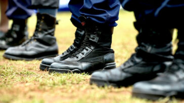 Cele insta a la policía de KZN a ser firme con cualquier infractor de la ley durante el cierre de EFF