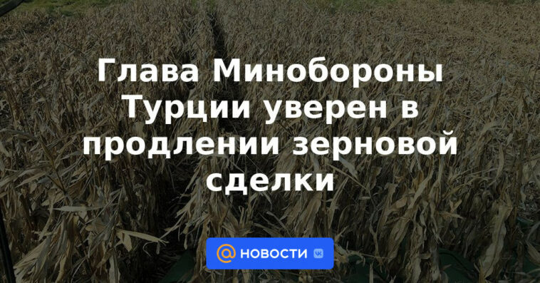 El ministro de Defensa turco confía en extender el acuerdo de granos
