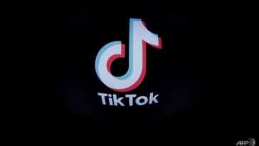 Gobierno belga prohíbe TikTok en teléfonos oficiales